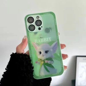 Apple 14plus phone case